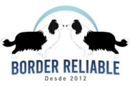 Border Reliable - Border Collie